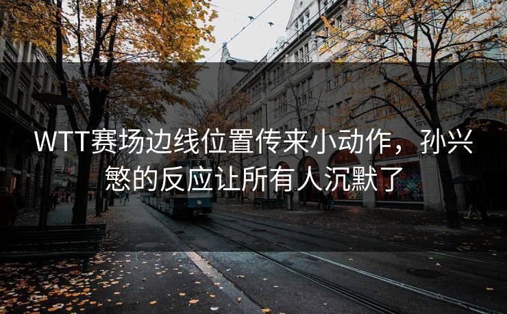 WTT赛场边线位置传来小动作，孙兴慜的反应让所有人沉默了