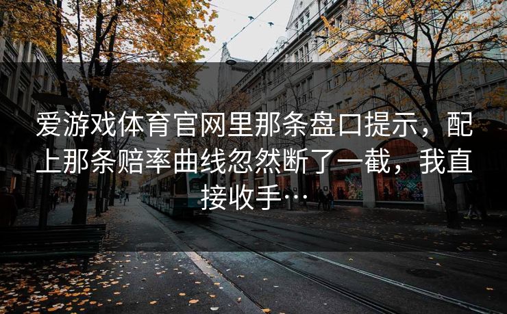 爱游戏体育官网里那条盘口提示，配上那条赔率曲线忽然断了一截，我直接收手…