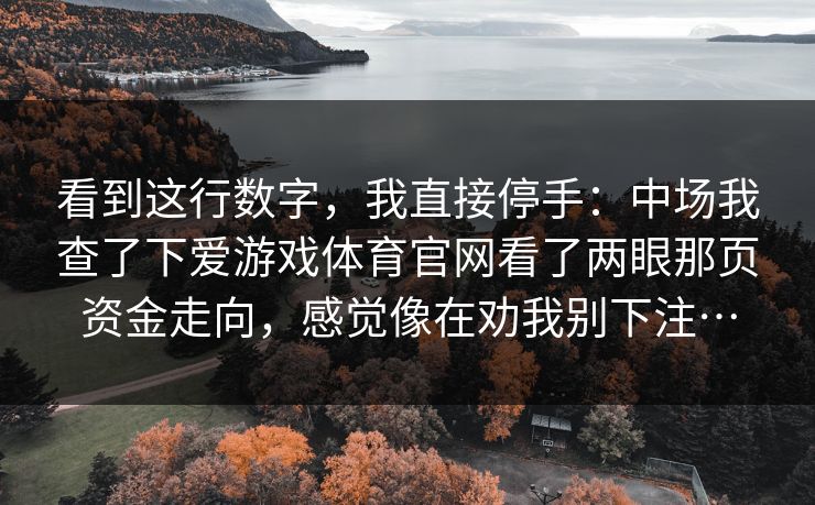 看到这行数字，我直接停手：中场我查了下爱游戏体育官网看了两眼那页资金走向，感觉像在劝我别下注…