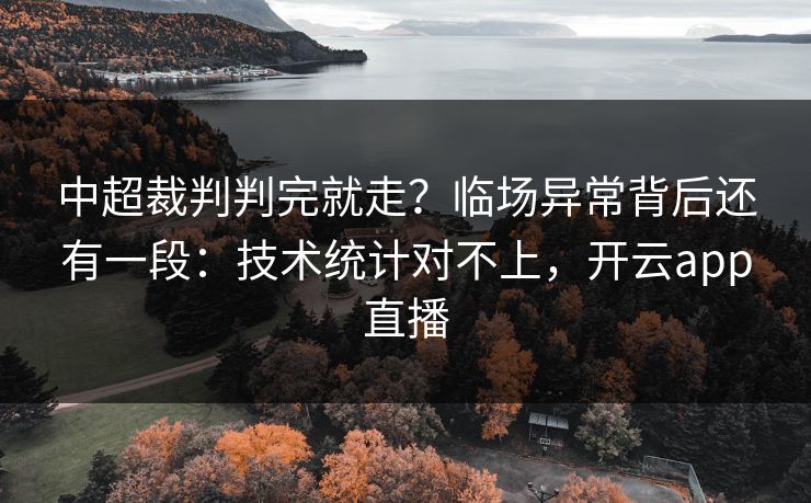中超裁判判完就走？临场异常背后还有一段：技术统计对不上，开云app直播