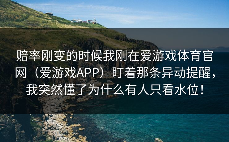 赔率刚变的时候我刚在爱游戏体育官网（爱游戏APP）盯着那条异动提醒，我突然懂了为什么有人只看水位！